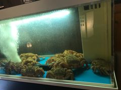 -蟹道乐( 新宿駅前店)