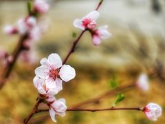 -云岗森林公园