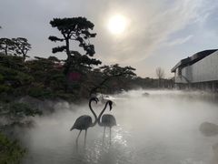 -罗红摄影艺术馆