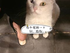 -张记牛肉面馆(天津路店)