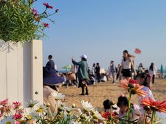 -青岛第二海水浴场