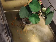 -单家老院·院子里的青岛菜(沙子口店)