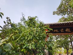 -大槐树寻根祭祖园