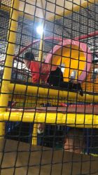 -爱丽丝奇幻乐园