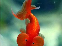 -蓝海岸温泉洗浴