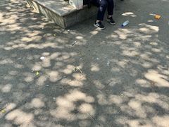 -广州市帽峰山景区