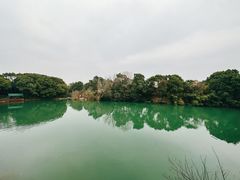 -张鸟园农家乐(张鸟园店)