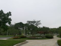 -羊山湖公园