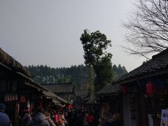 -秀丽东方