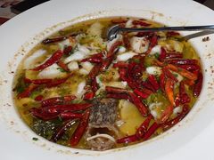 -九毛九西北菜(百信广场店)