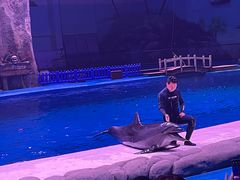 -华夏文旅海洋公园