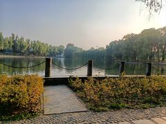 -森林公园(尖草坪区)