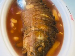-阿五黄河大鲤鱼(英协路店)