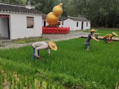 -溱湖国家湿地公园