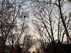 -颐和路民国时期公馆风貌区