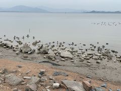 -深圳湾公园(南山区)