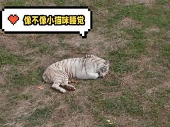 -无锡动物园·太湖欢乐园