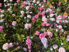 -HERRE·FARM 赫尔露营农场·团建聚会包场