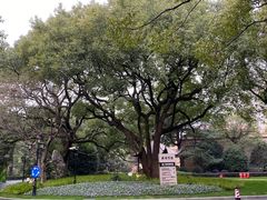 -上海兴国宾馆香樟园西餐厅