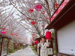 -回龙窝历史文化街区