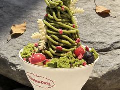 -哈根达斯(大洋百货店)