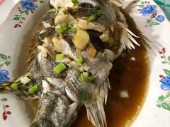 -小六农家乐(崇明西沙湿地店)