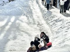 -洛阳白云山景区