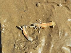 -东戴河风景区-止锚湾