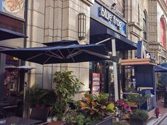 -blue frog蓝蛙(长泰广场店)