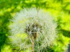 -吉林大学(前卫南区)