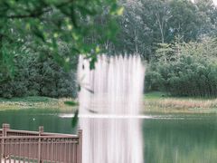 -福建鲤鱼洲酒店