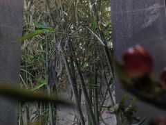 -筑艺咖啡