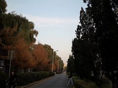 景观位-东北农业大学饺子园
