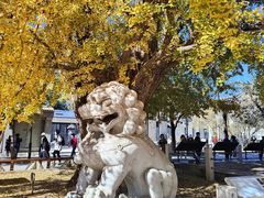 -北京石刻艺术博物馆(五塔寺)