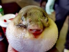 -永安鱼庄·镇江菜(东吴路店)