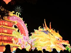 -武汉园博园(武汉自然博物馆)