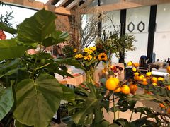 -GOTLOT COFFEE&KITCHEN角落厨房NOOK店