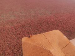 -红海滩国家风景廊道