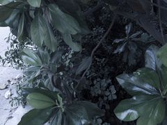 -济南轻骑摩托车有限公司(和平路)