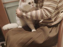 -星巴克(宁波老外滩店)