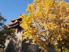 -东华门大街小区