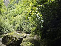 -矮寨·十八洞·德夯大峡谷景区