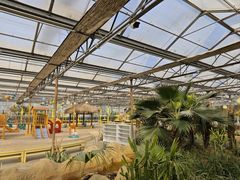 -南宫五洲植物乐园