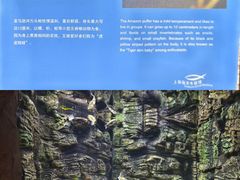 -上海海洋水族馆