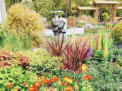 -上海共青森林公园