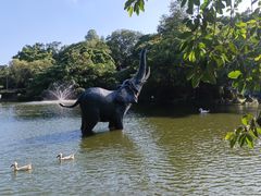 -深圳野生动物园