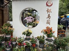 -张鸟园农家乐(张鸟园店)
