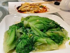 生菜-朱仔记食府(江南大道店)