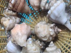 -鑫鸿达·海鲜闽菜热炒小馆(中山路店)