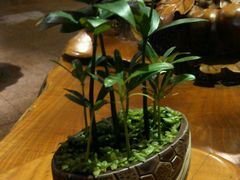 -苏州独墅湖书香世家酒店